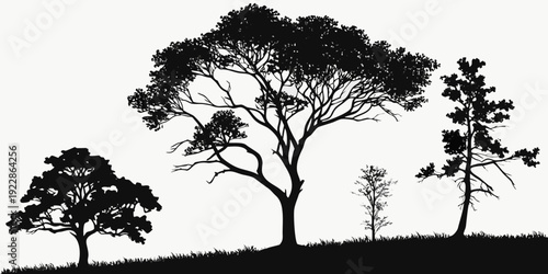 Silhouette of trees standing against a flat horizon line in a serene landscape.