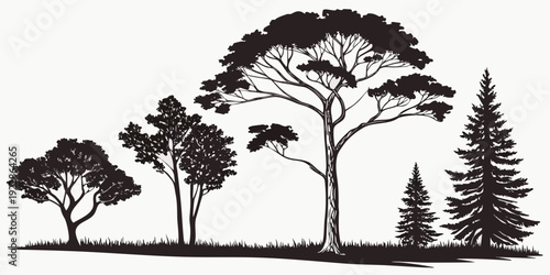 Silhouette of trees standing along a calm, open landscape under a clear sky