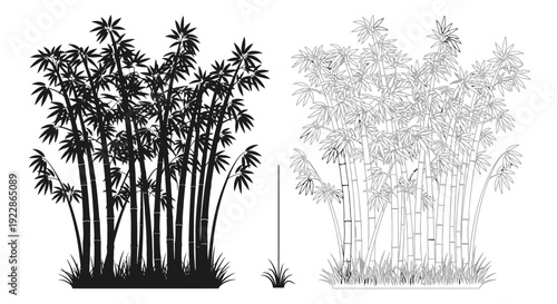 Detailed black and white illustration of bamboo plants with varying density