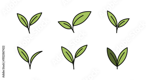 Tea leaf Line art creative color composition illustration