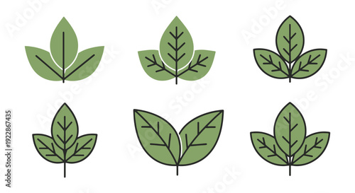 Teak leaf Line art bright abstract color vector
