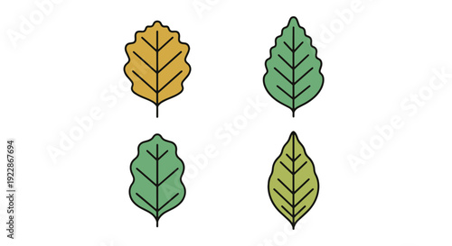 Teak leaf Line art modern bold tone illustration