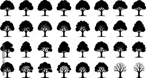 Collection of deciduous tree vector silhouettes featuring various leafy oak and maple shapes with bare winter branches for nature and landscape designs.