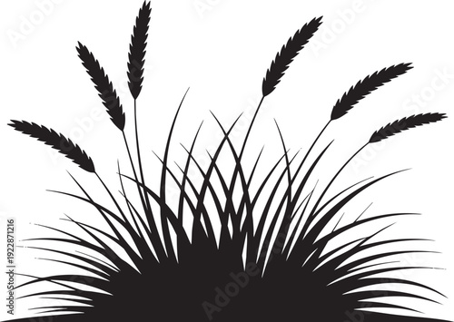 Black Grass Silhouette with Wheat Ears on White Background