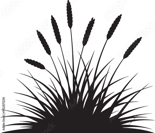 Black Cattails Silhouette Isolated on White