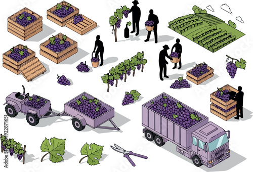 Vineyard workers harvesting grapes into crates and loading them onto a truck for wine production in a lush vineyard setting