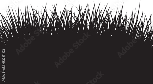 Black Grass Silhouette on White Background