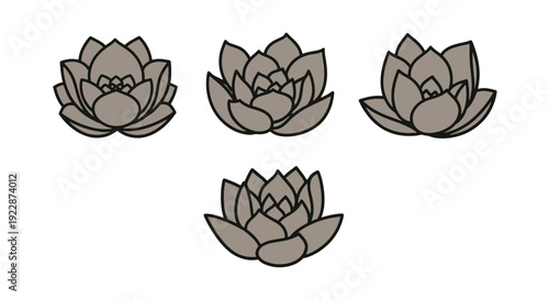 Succulent leaf Line soft abstract tone illustration