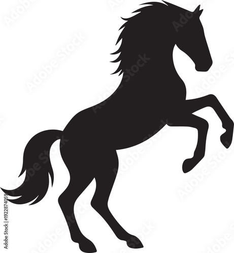 Arabian horse, Mustang horse, Quarter horse, Thoroughbred horse, Horse breeds, Horse riding,black and white horse