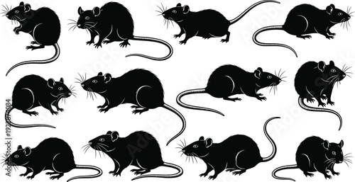 Black Rat Silhouette Collection Detailed Rodent Animal Vector SetBlack Rat Silhouette Collection Detailed Rodent Animal Vector Set