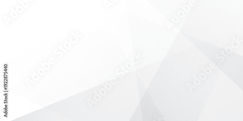 Abstract geometric white light grey background with subtle lines and polygons for modern design use