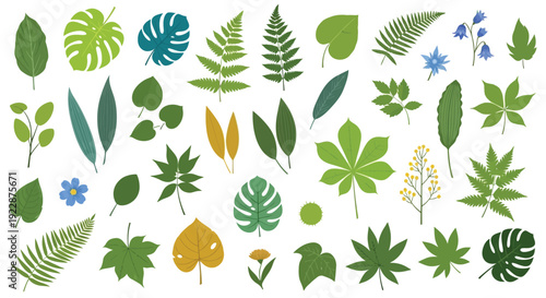 Illustration of various leaves, ferns, and small flowers in diverse shapes and shades of green, with a few leaves in yellow, blue, and brown hues.