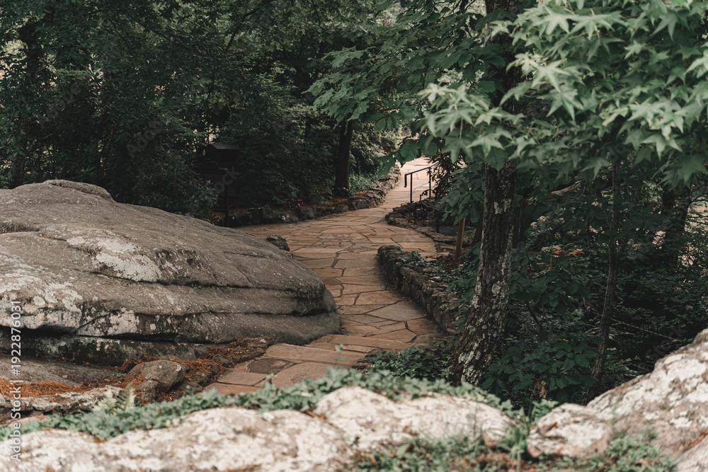 Obraz premium Stone walkway winding through a lush green wooded park