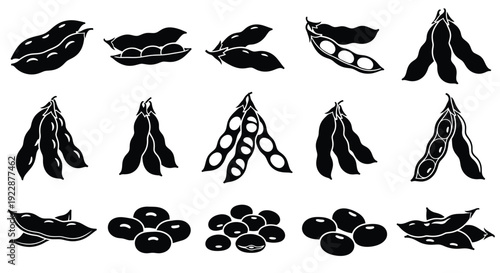 Black and white illustration of various stages of soybean plant growth
