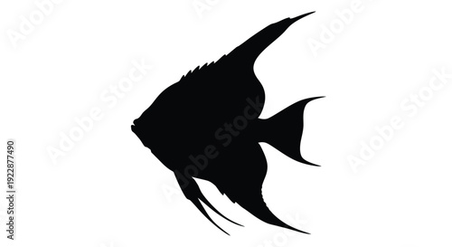 Silhouette of an angelfish against a stark white background