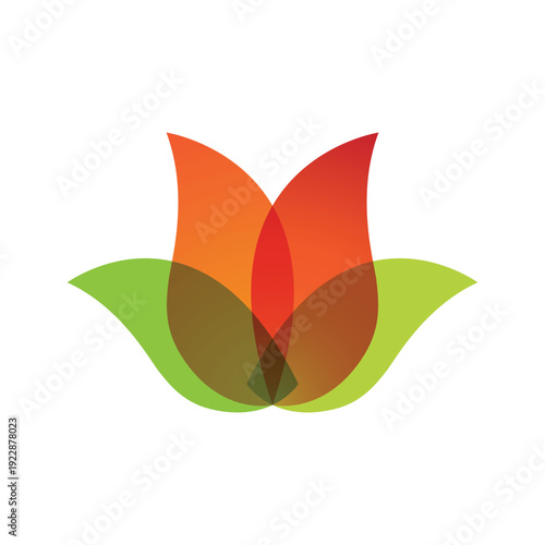 Plumeria flower lotus beauty logo