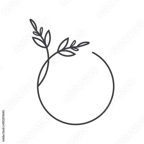 Plumeria flower lotus beauty logo