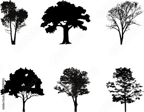 Six black silhouettes of various tree types, showcasing different foliage and branch structures against a white background.
