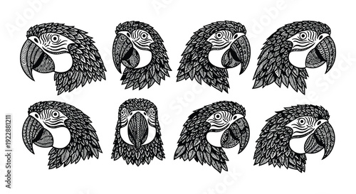 Eight monochromatic parrot head illustrations in a repeating pattern