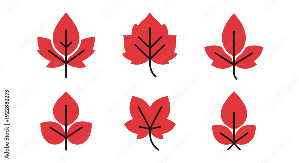 Obraz premium Red leaf Line art modern abstract design illustration