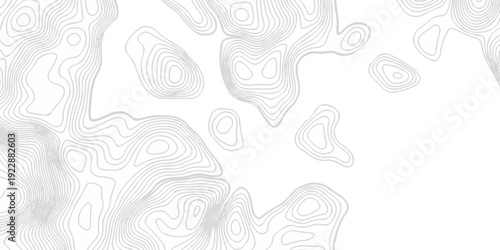 Topographic seamless map pattern with contour lines. Abstract geographic elevation design, lines sea map modern white background.