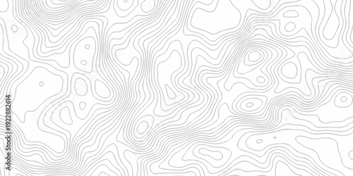 Topographic seamless map pattern with contour lines. Abstract geographic elevation design, lines sea map modern white background.
