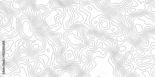 Topographic seamless map pattern with contour lines. Abstract geographic elevation design, lines sea map modern white background.