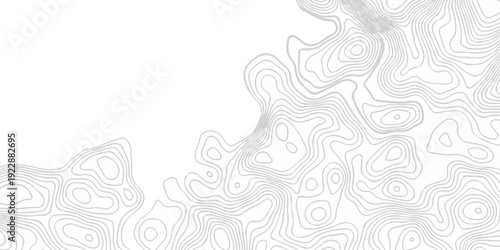 Topographic seamless map pattern with contour lines. Abstract geographic elevation design, lines sea map modern white background.