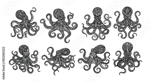 Collection of vintage style octopus illustrations in a grid pattern