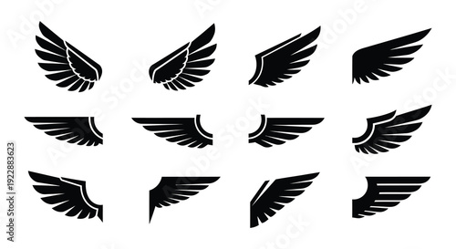 Collection of black wing designs and feather illustrations on white background