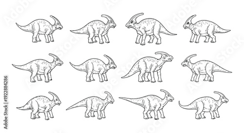 Line drawing depicts several parasaurolophus dinosaurs in varying sizes