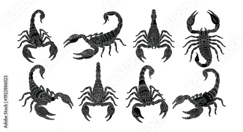 Collection of scorpions in various poses and silhouettes