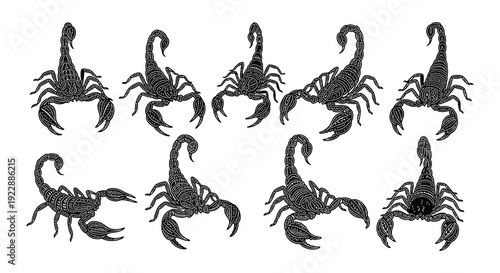 Collection of scorpions in various poses and silhouettes