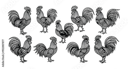 Vintage style illustration of nine patterned roosters in a grid layout