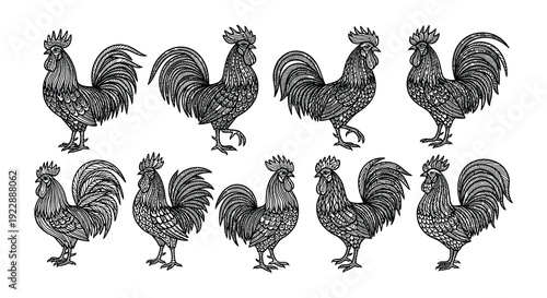 Vintage style illustration of nine patterned roosters in a grid layout