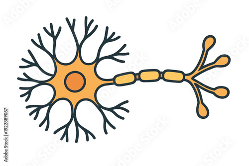 A stylized vector illustration of a biological neuron cell featuring a central nucleus, branching dendrites, an axon with myelin sheath segments, and terminal buttons on a black background.