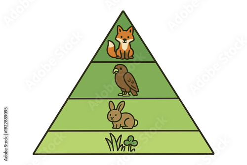 A flat illustration of an ecological pyramid showing a food chain with grass at the base, followed by a rabbit, a hawk, and a fox at the top level on a green background.