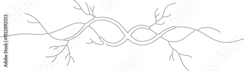 Minimalist Lineart Intertwined Vine Tendrils Decorative Element with Subtle Branches Illustration