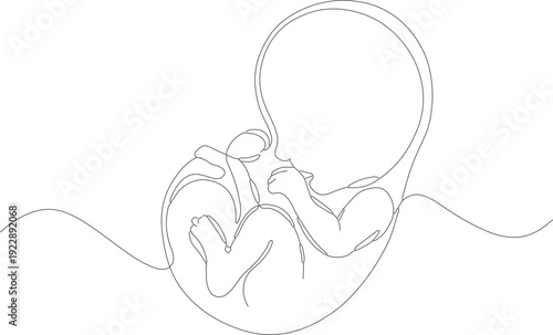 Minimalist Continuous Line Drawing Embryo Pregnancy Fetus Illustration Graphic