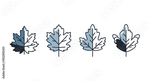 Winter leaf Line art creative color vector design