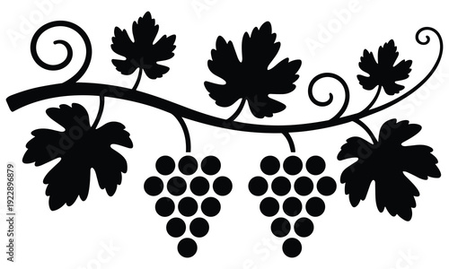 Black silhouette of grapevine with leaves and clusters symbolizing wine production and harvest season in a simple elegant design perfect for wine related themes or autumnal motifs.