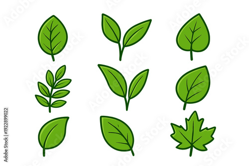 A collection of nine stylized green leaf illustrations arranged in a grid on a black background. The set includes various shapes like single leaves, pairs, and a maple leaf.