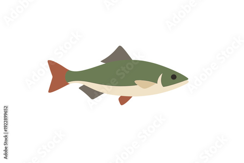 A stylized flat illustration of a green fish with a cream belly and reddish-orange fins, isolated on a solid black background. The design features simple geometric shapes and colors.