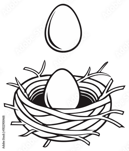 Two Eggs in a Bird Nest Showing Nesting and New Life Concepts