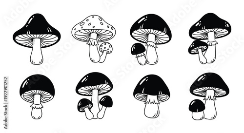 Black and white illustration depicting a collection of various mushrooms