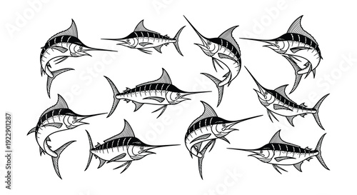A collection of black and white marlin fish swimming in various directions
