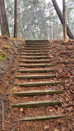 Staircase made of old wooden balusters on steep slope in the forest