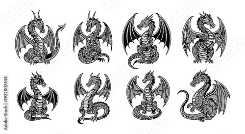 Intricate black and white illustrations of multiple dragon heads arranged in a grid