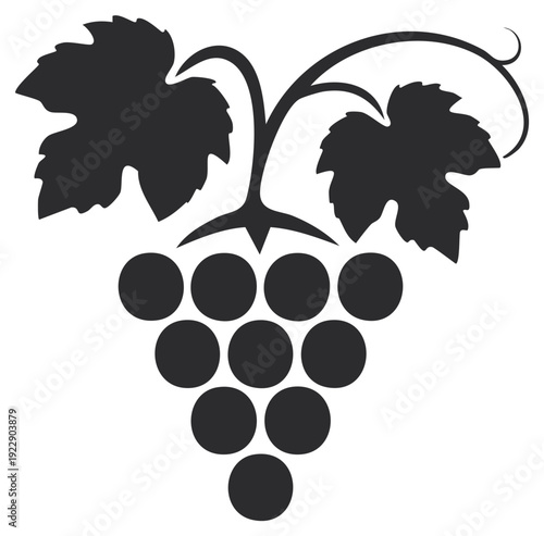 Classic black grape cluster design with leaves and vine elegant simple vector illustration
