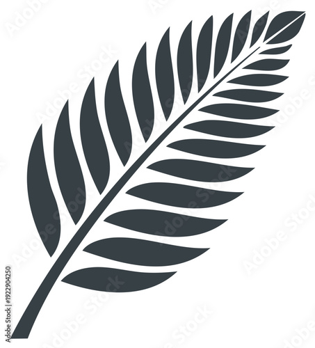 Botanical frond illustration, dark gray foliage vector element, tropical leaf branch design